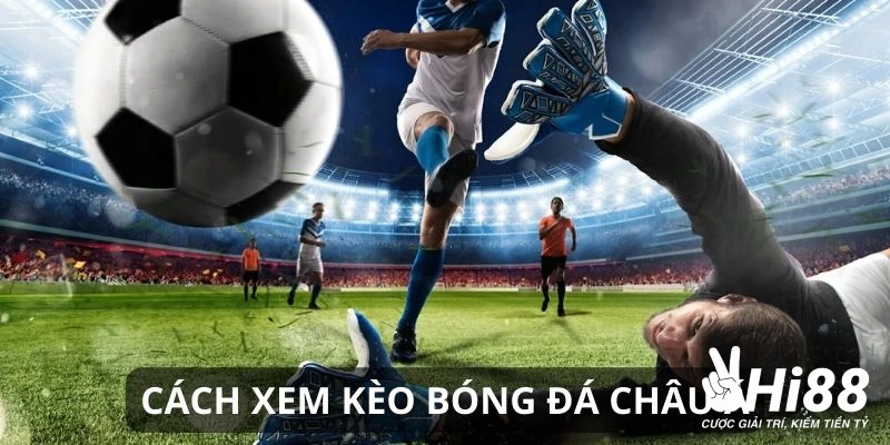 Kèo Châu Á - Hướng Dẫn Chơi Cược Chấp Ăn Tiền Mọi Nhà Cái keo chau a mot so ty le cuoc pho bien ve cuoc chau a