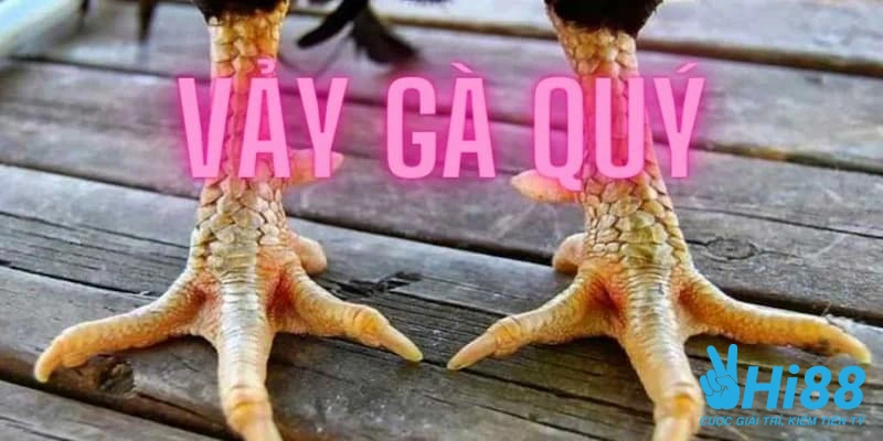 Vảy Gà Quý Có Ý Nghĩa Gì Và Có Những Loại Nào Hiện Nay? Vảy Gà Quý Có Ý Nghĩa Gì Và Có Những Loại Nào Hiện Nay?