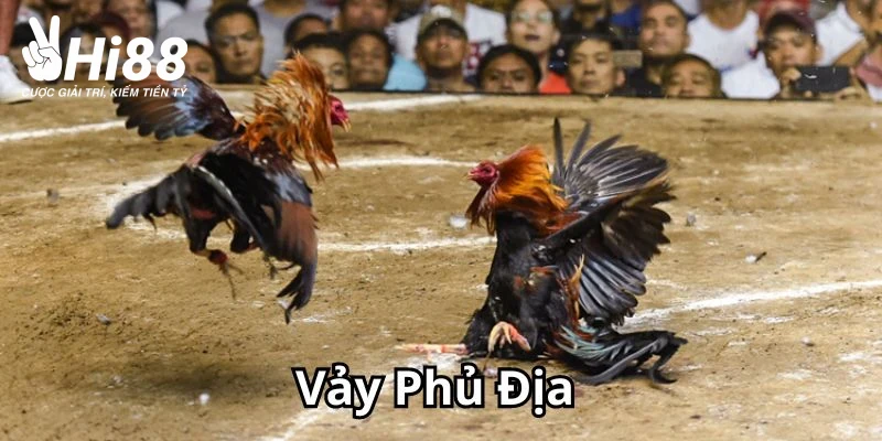 Vảy Phủ Địa - Cách Phân Biệt Đặc Trưng Loại Gà Hiếm Này Vảy Phủ Địa - Cách Phân Biệt Đặc Trưng Loại Gà Hiếm Này
